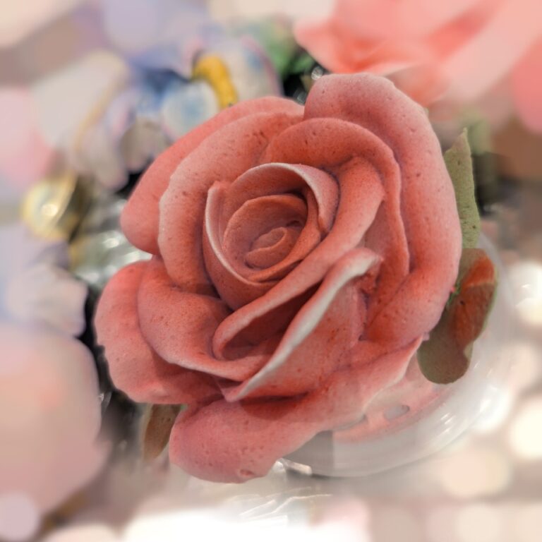 Pink marshmallow rose